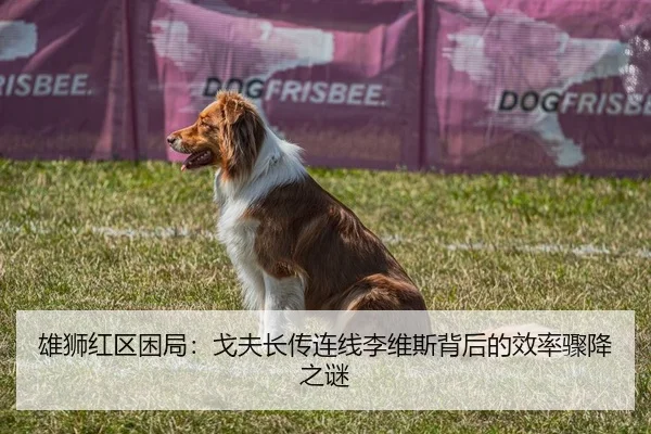 雄狮红区困局：戈夫长传连线李维斯背后的效率骤降之谜